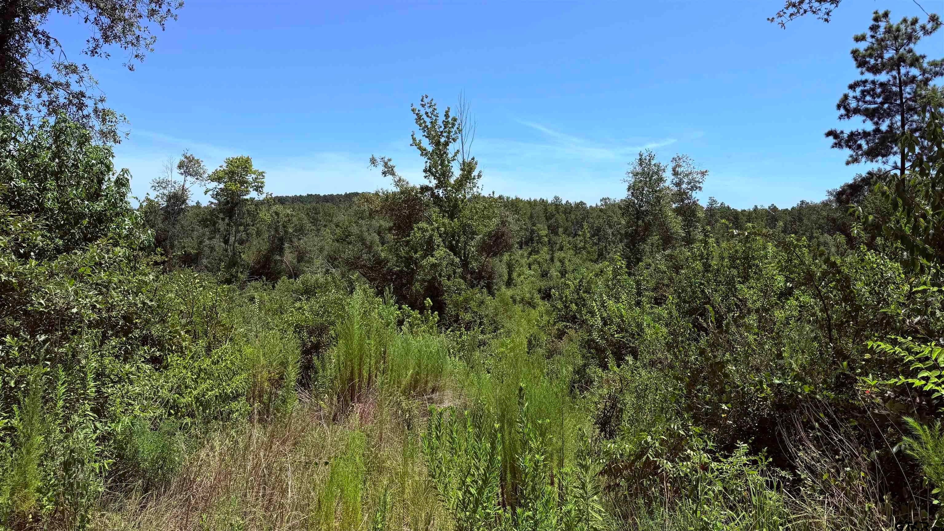 TBD COUNTY ROAD 372