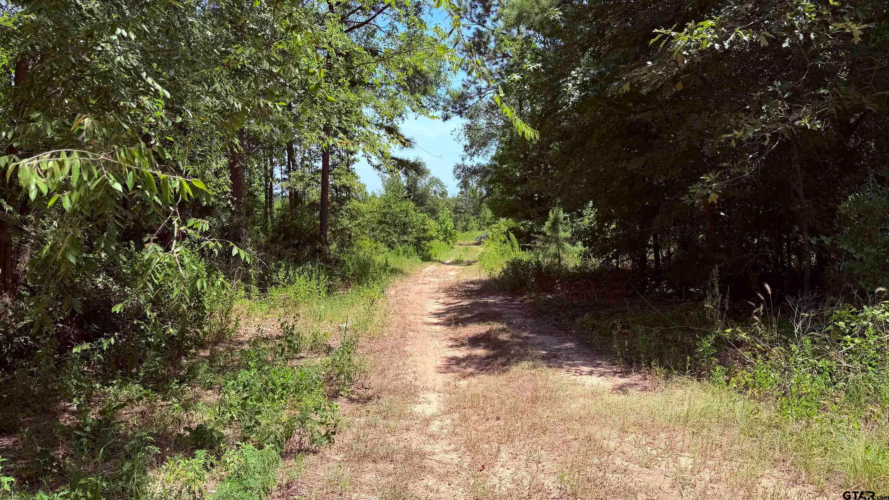 TBD COUNTY ROAD 372