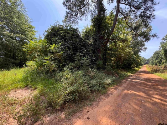 551 PLEASURE PT, LONE STAR, TX 75668 - Image aa40733db49a9b09b1c6168bbc7f89af/3448016126