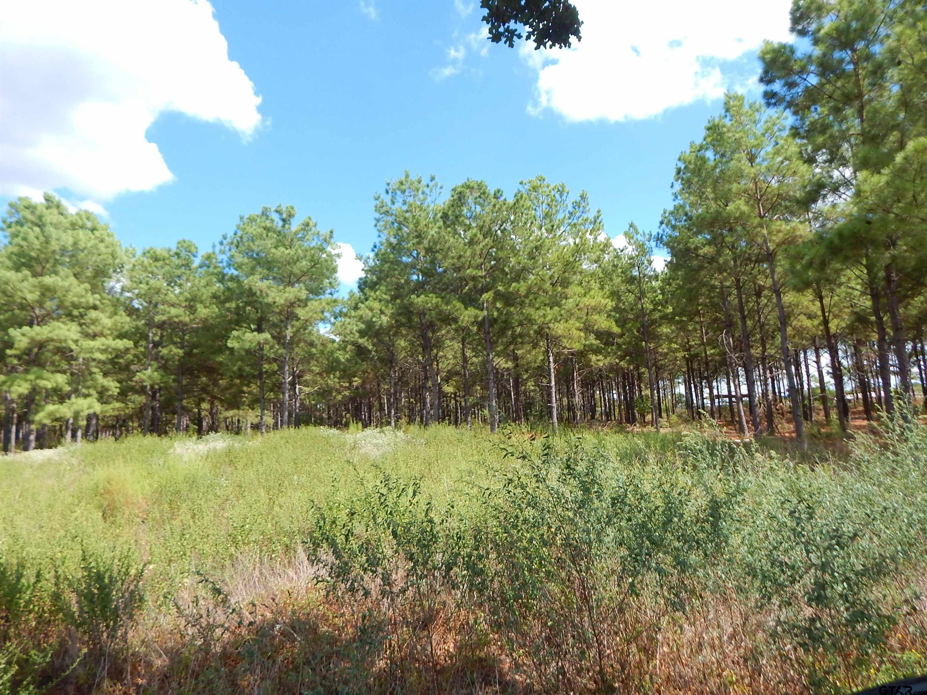 TBD 10 ACRES WEST SPRUCE RD