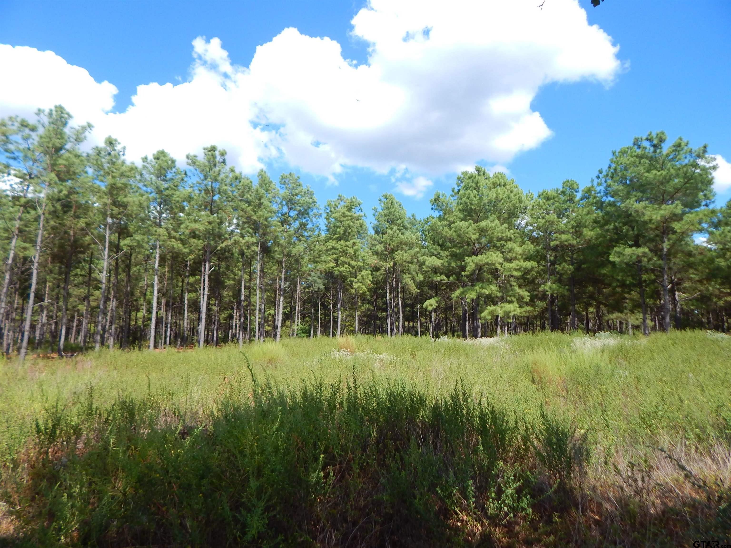 TBD 10 ACRES WEST SPRUCE RD