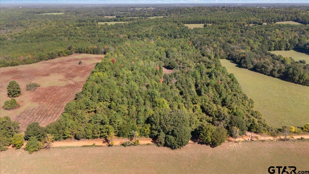 TBD County Road 4301