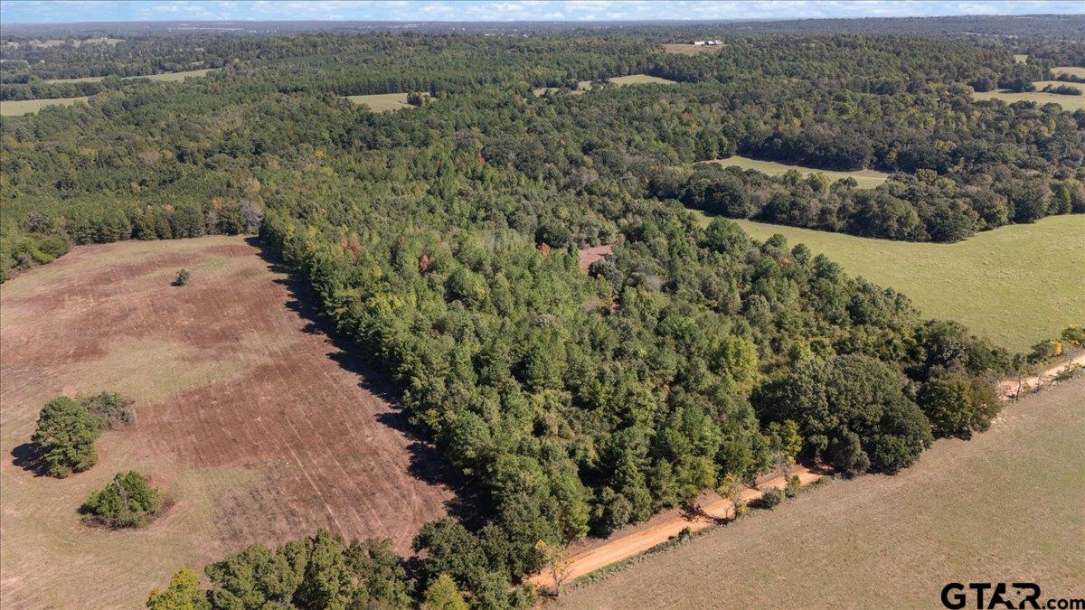 TBD County Road 4301