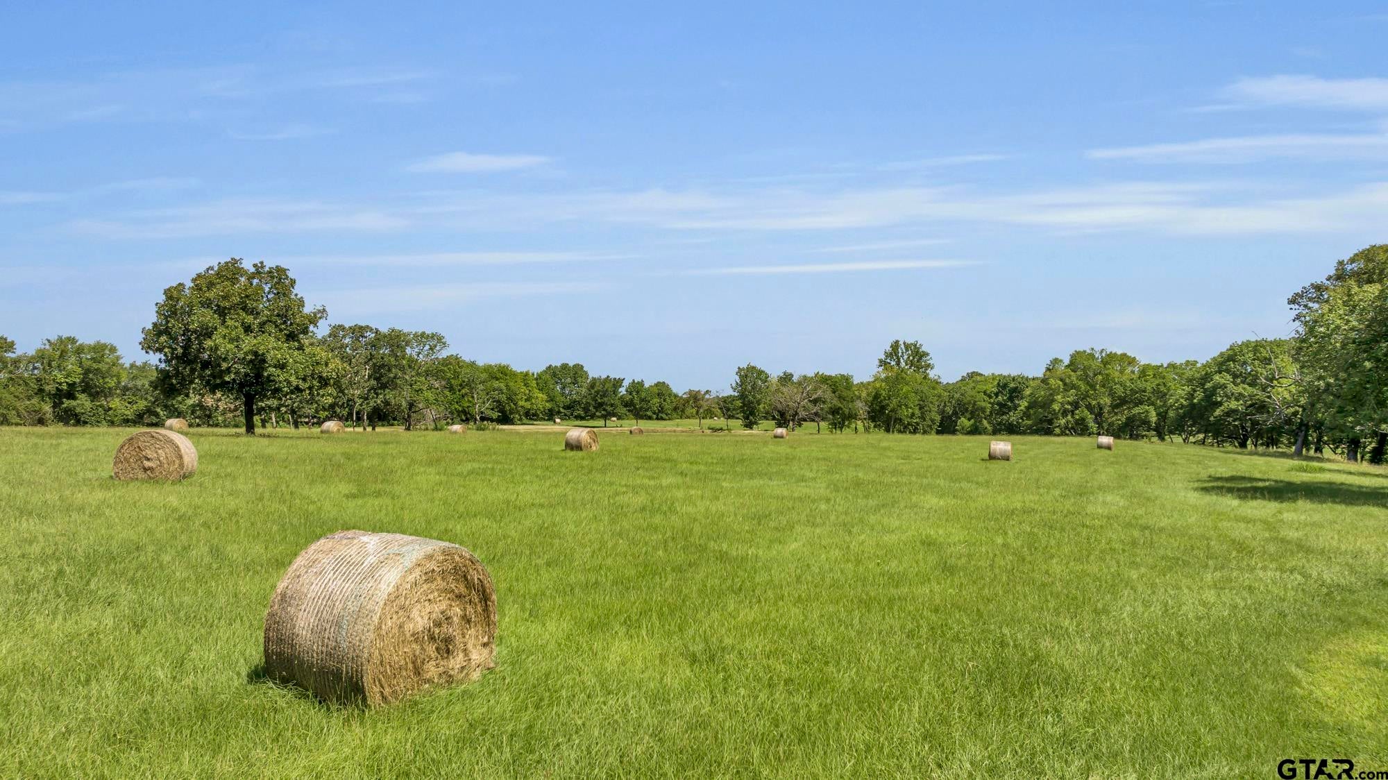 365 County Road 1534
