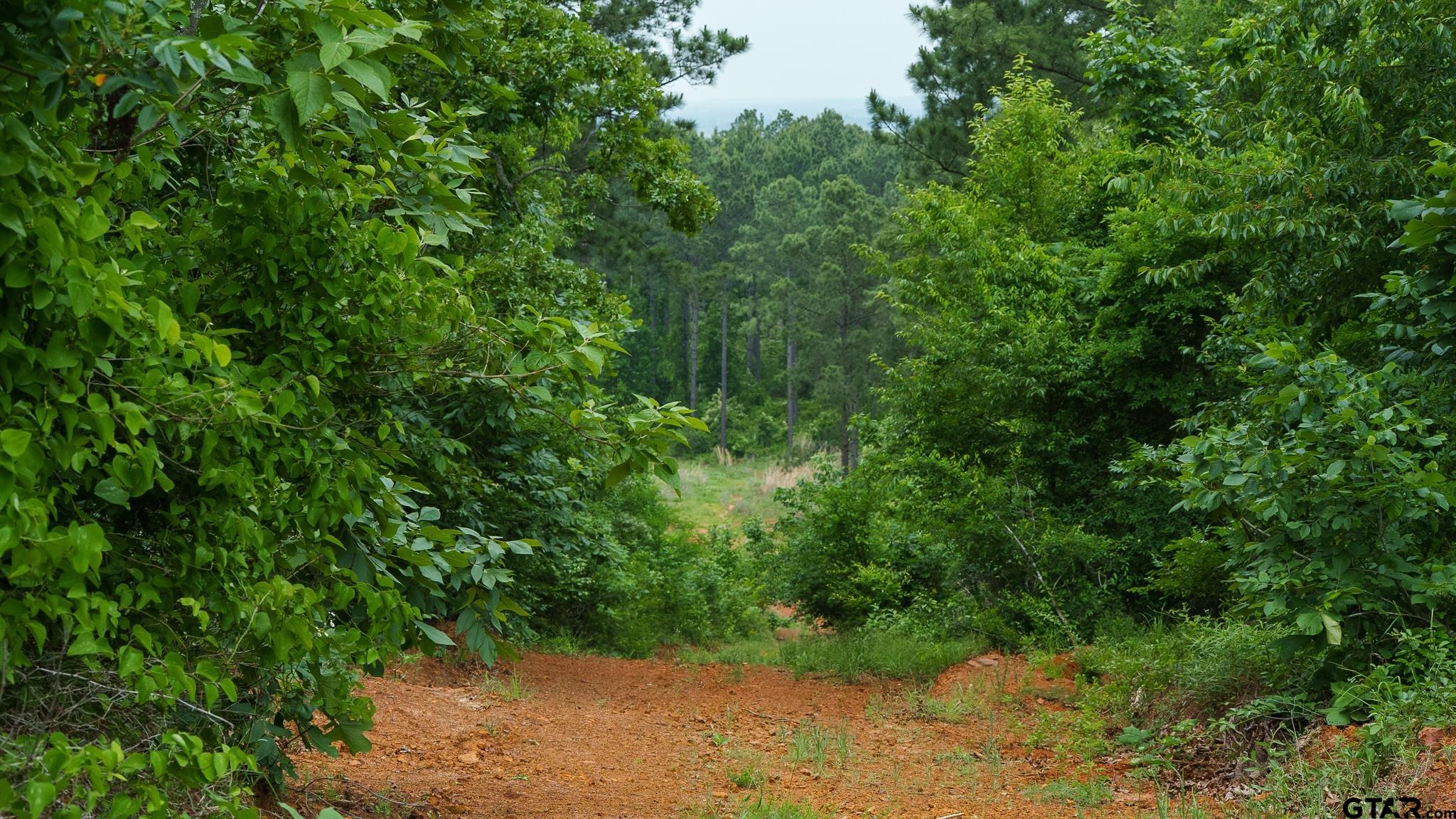 000 Hwy 64 #1
