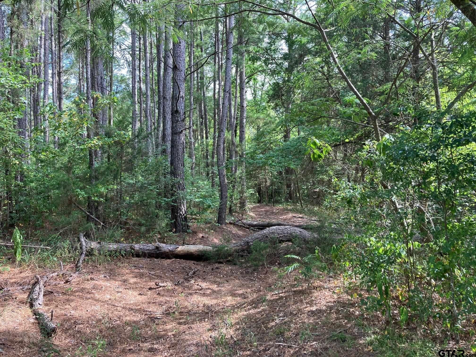 15 Acres County Road 4025
