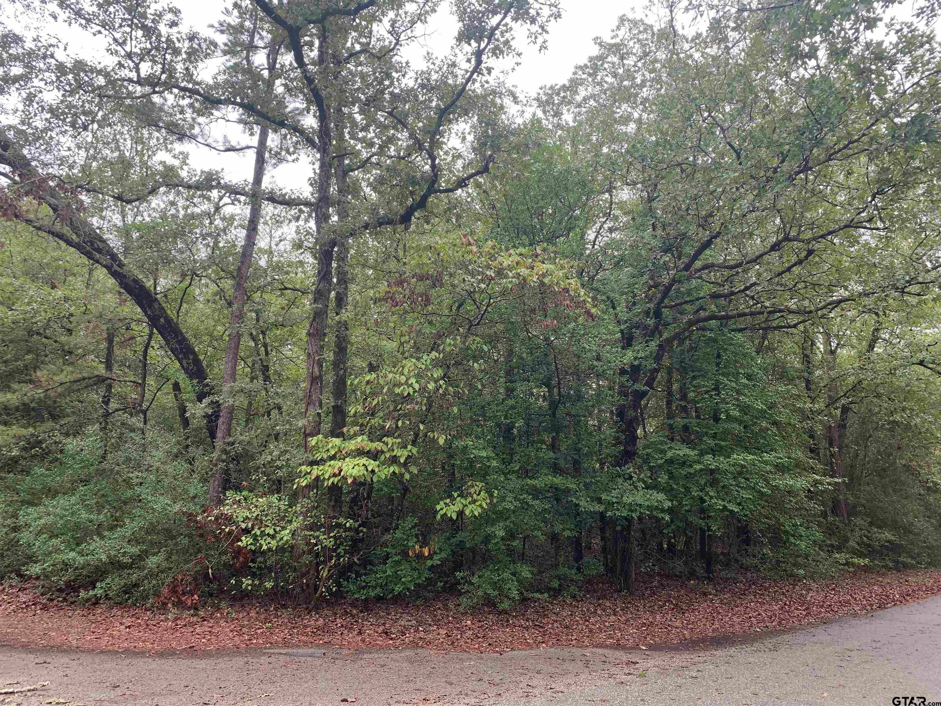 209 Starleaf Lane