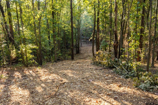 ADDRESS PRIVATE, TYLER, TX 75708 - Image b15a86199db9b9199eee080a40a2f710/2177836701