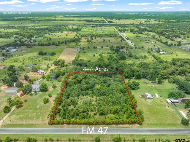 Lot 19 & 20 FM 47