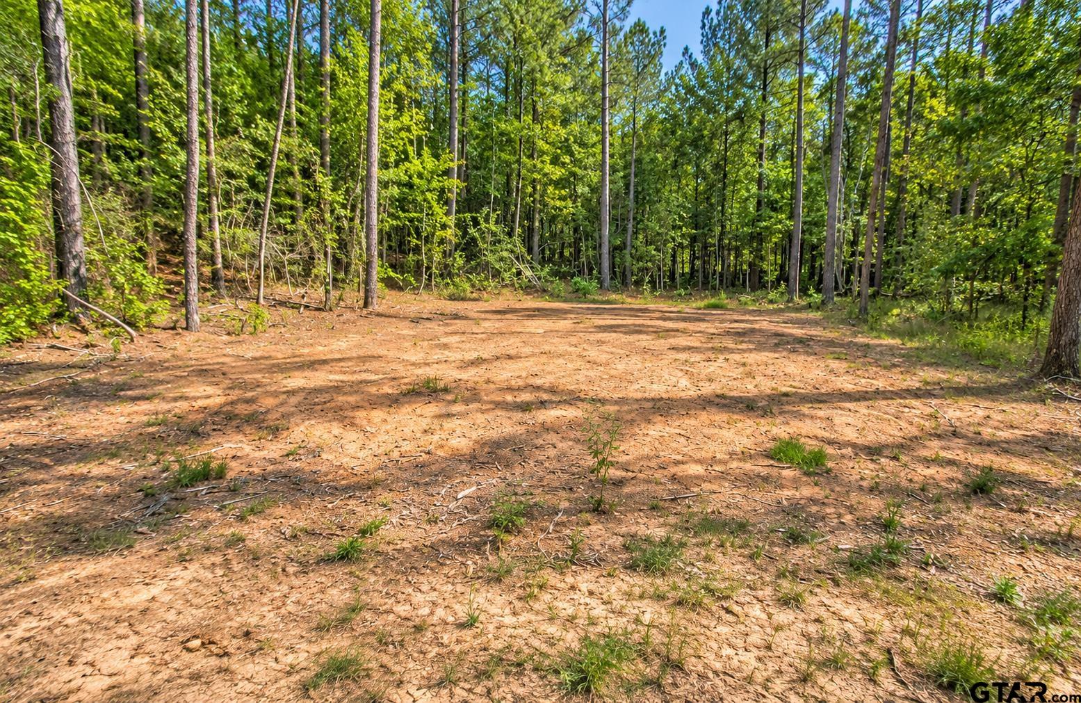 1963 County Road 4704