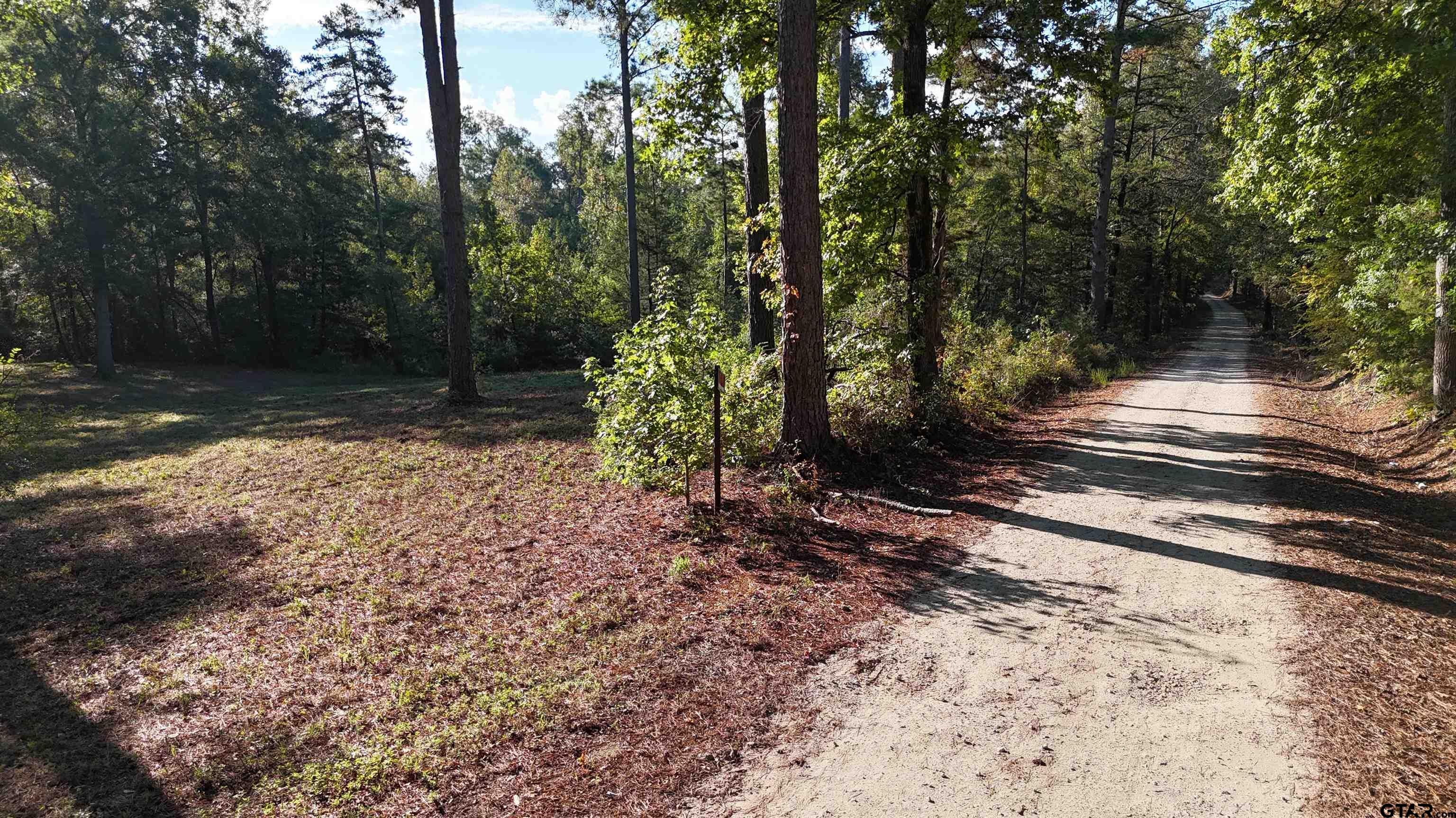 2772 County Road 1310