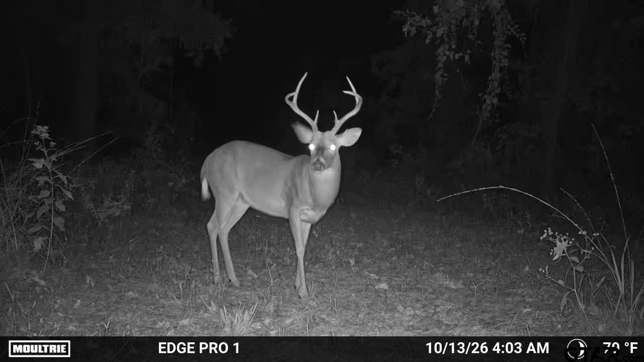 2772 County Road 1310