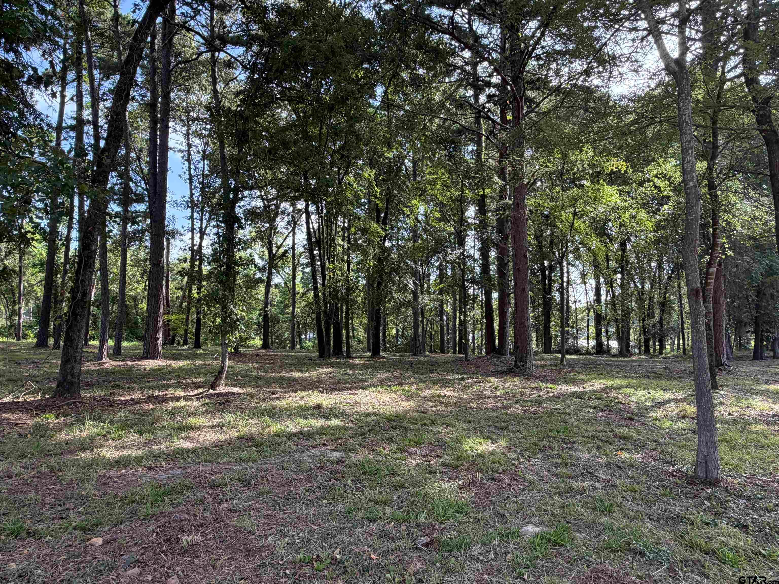 TBD Wilson Rd. (Lot 42)