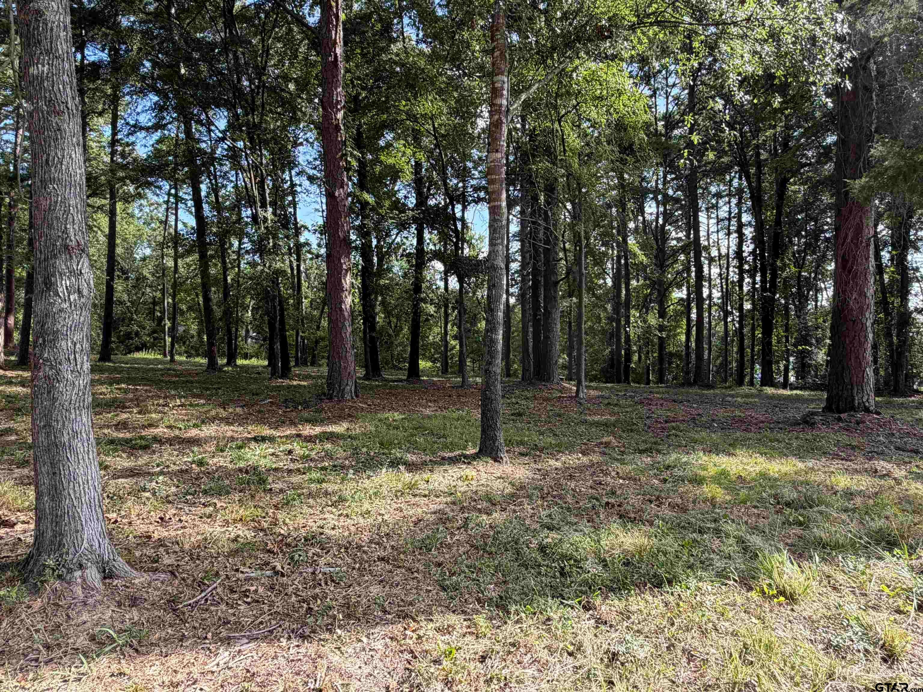 TBD Wilson Rd. (Lot 42)