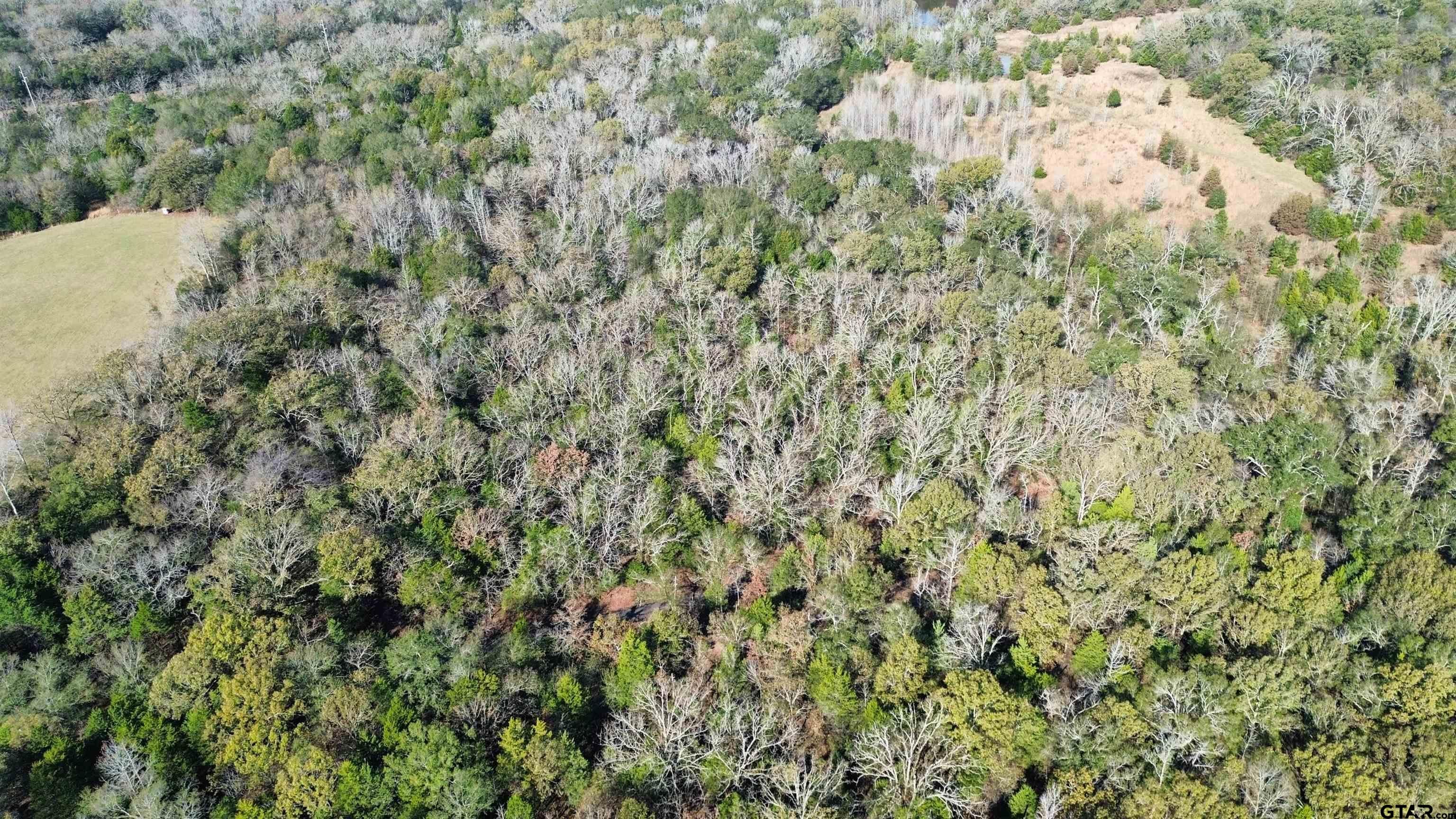 TBD Lot 2 VZ County Road 4134 - Photo 3