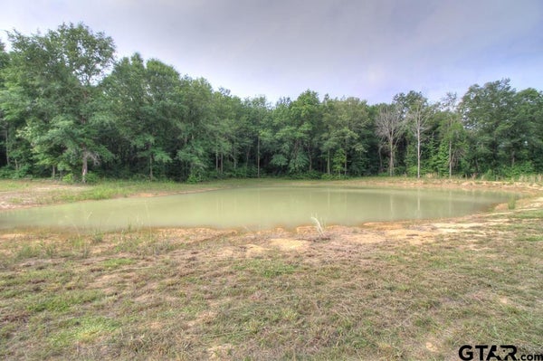 618 COUNTY ROAD 2619, ALTO, TX 75925 - Image b80452b382099b37be28c95d8e6ddcf8/33643185