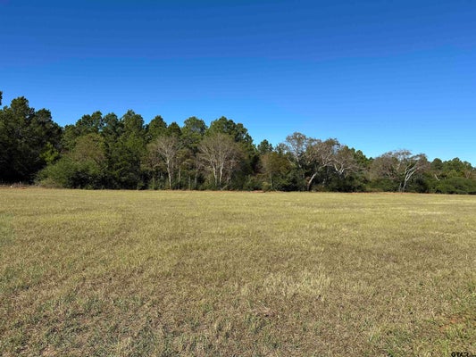 108 AVE B, ALTO, TX 75925 - Image b8a198fee81dee466c42e8cb3ed2d447/2404325457