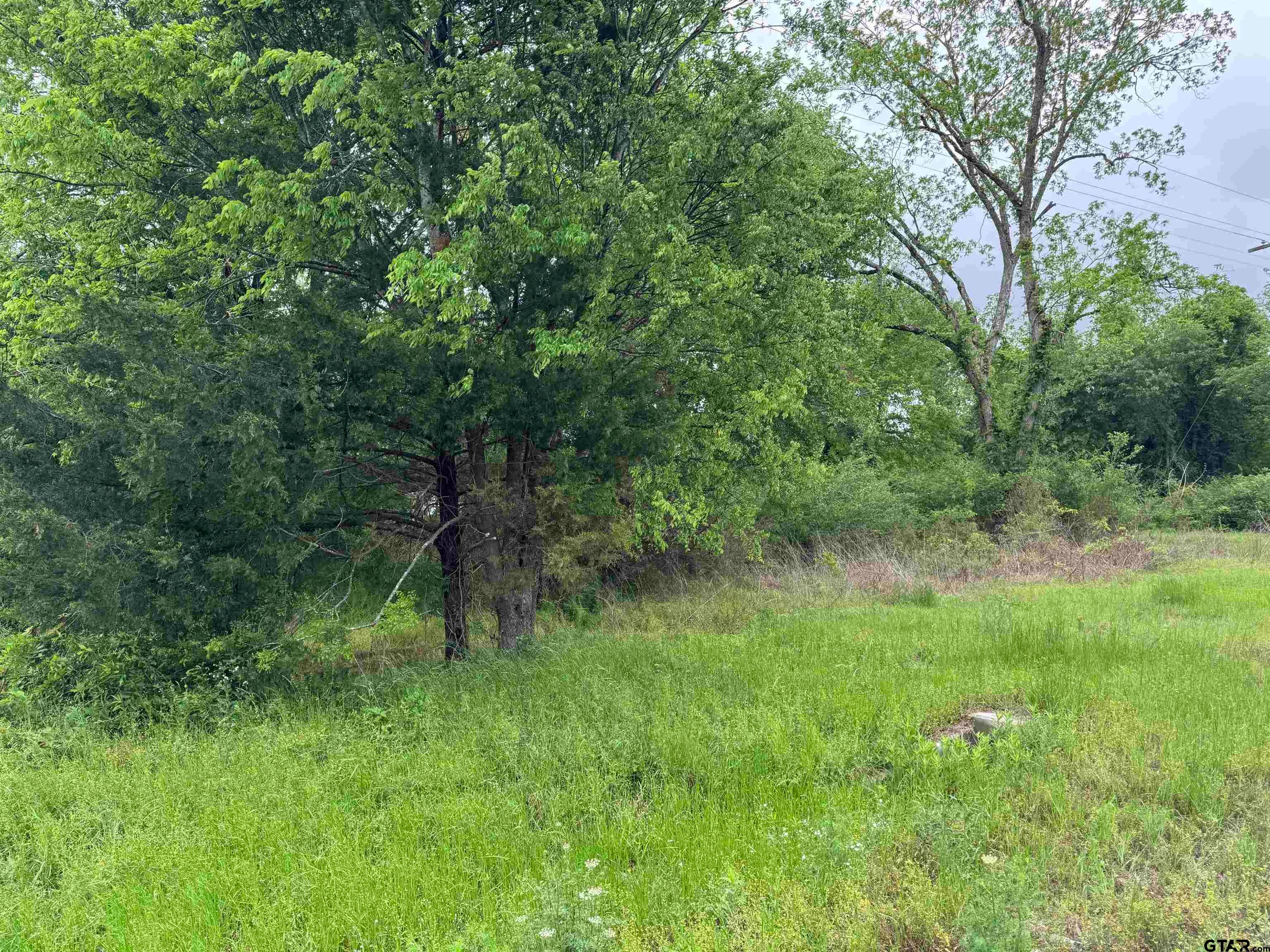 19821 State Hwy 135