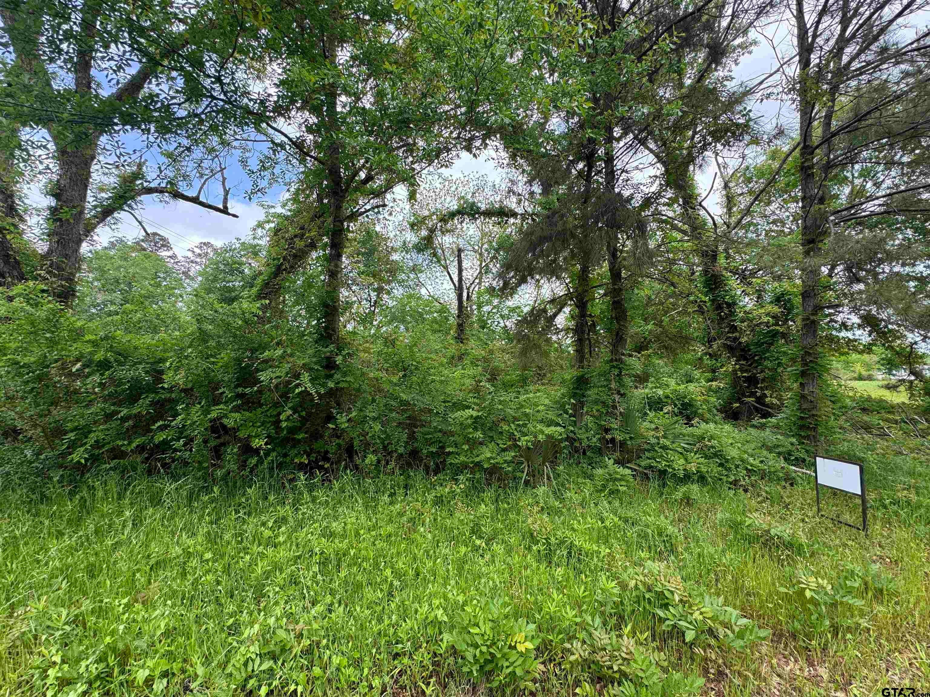 19821 State Hwy 135