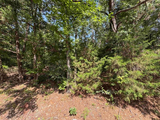 19 WHISPERING PINE TRL, MOUNT VERNON, TX 75457 - Image bd9d5594500a972a3b78ae1d32df1c5f/535483433