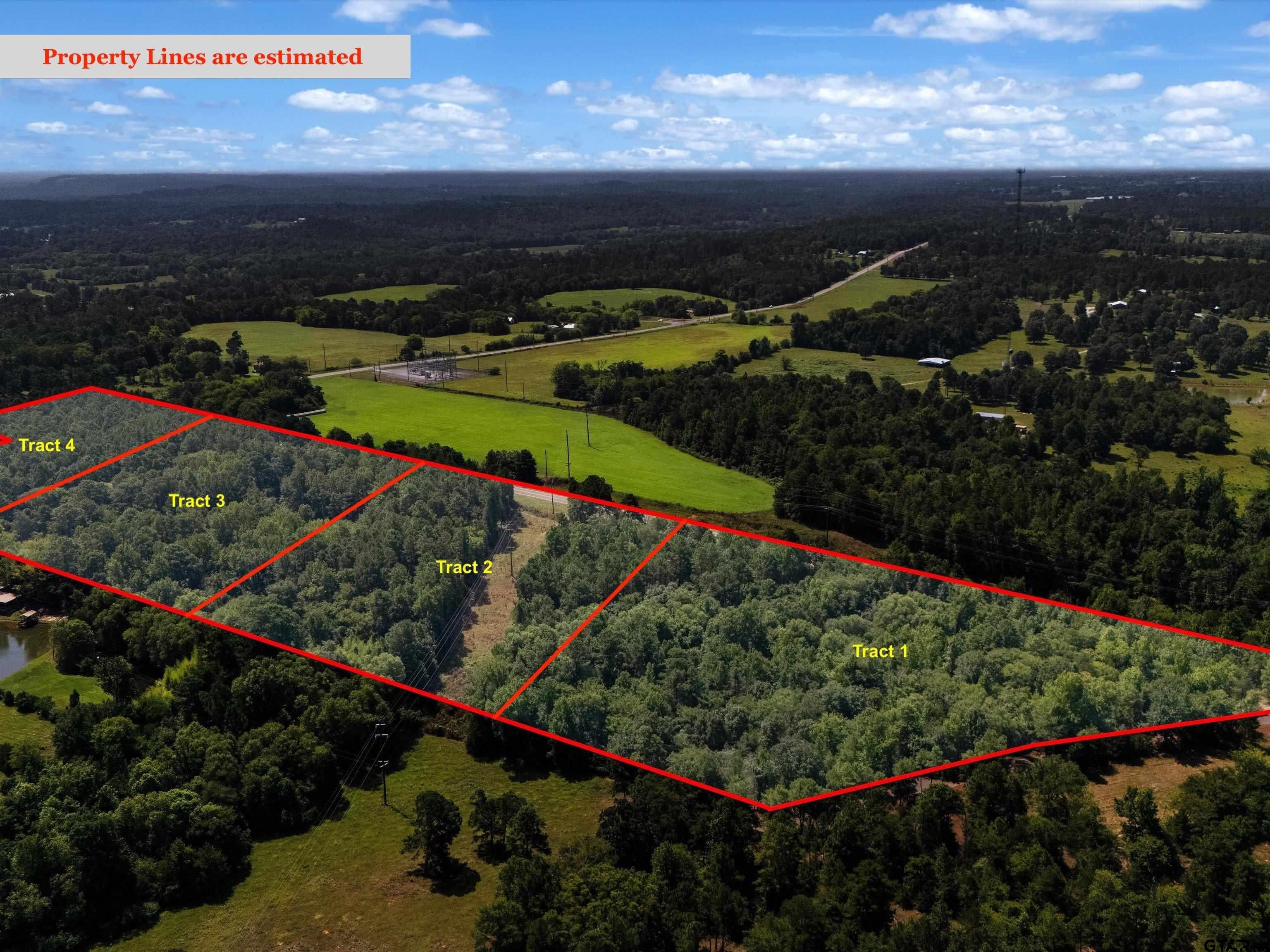 Tract 1 Slash Pine