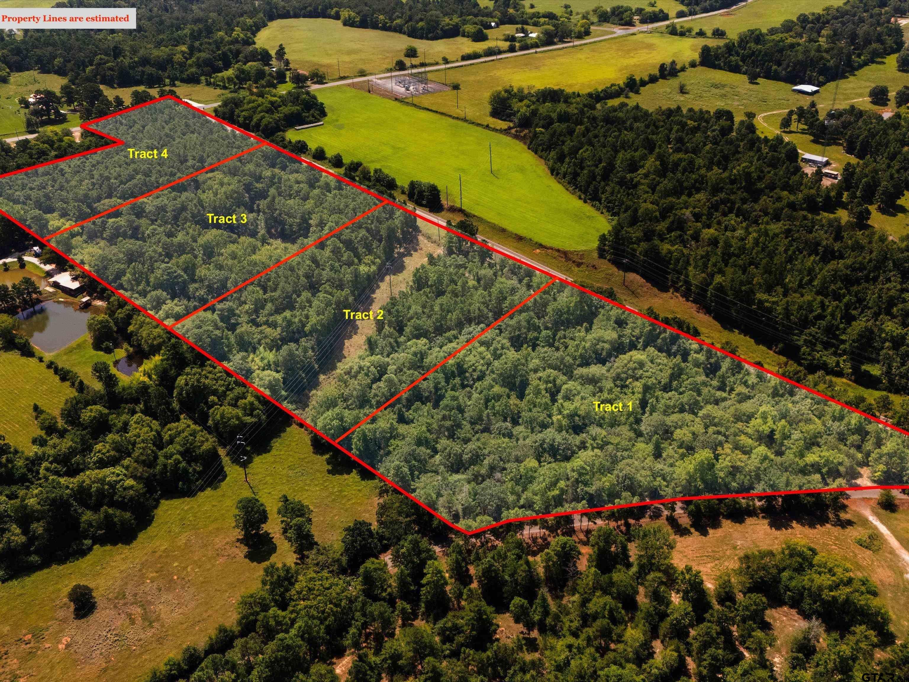 Tract 1 Slash Pine