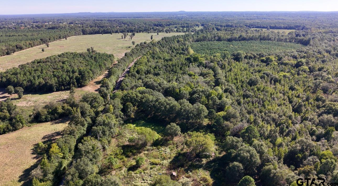 0000 County Rd 1896