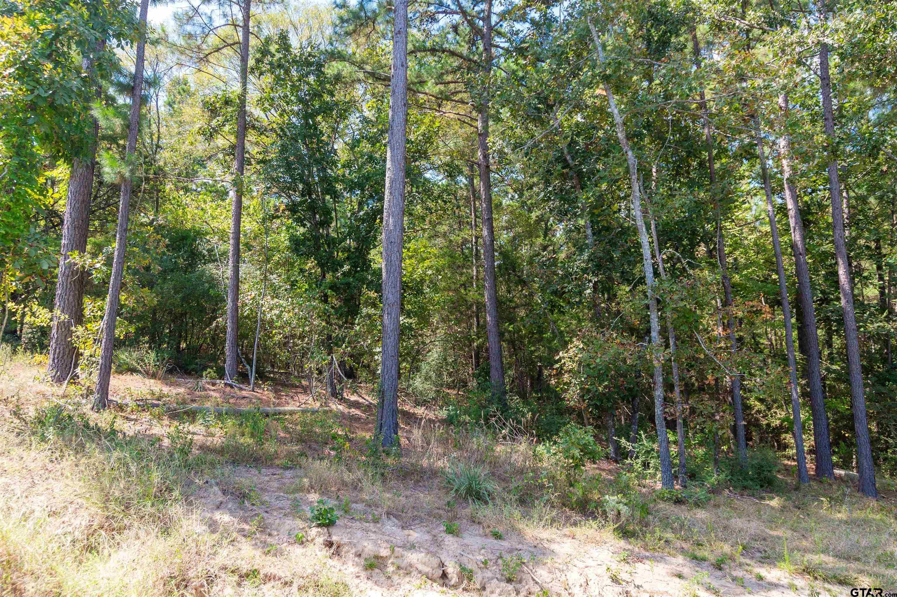 TBD CR 3947