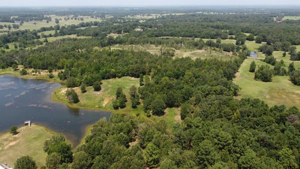583 COUNTY RD 3324, OMAHA, TX 75571 - Image c9d9a009dbdc97e182558f30cdcb7eb3/2574458181