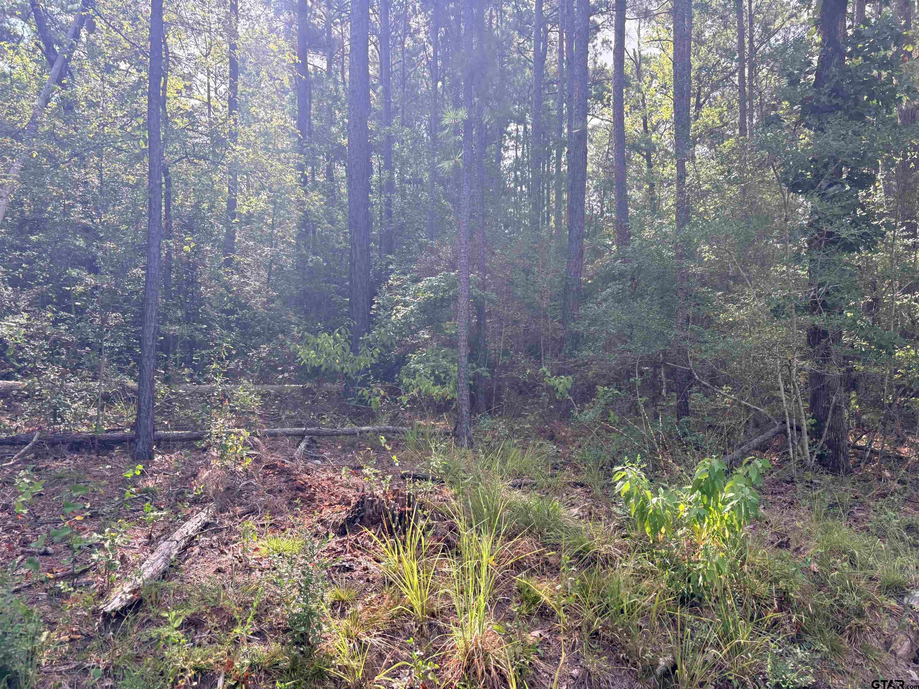 tbd 10.10 ACRES COUNTY ROAD 2125