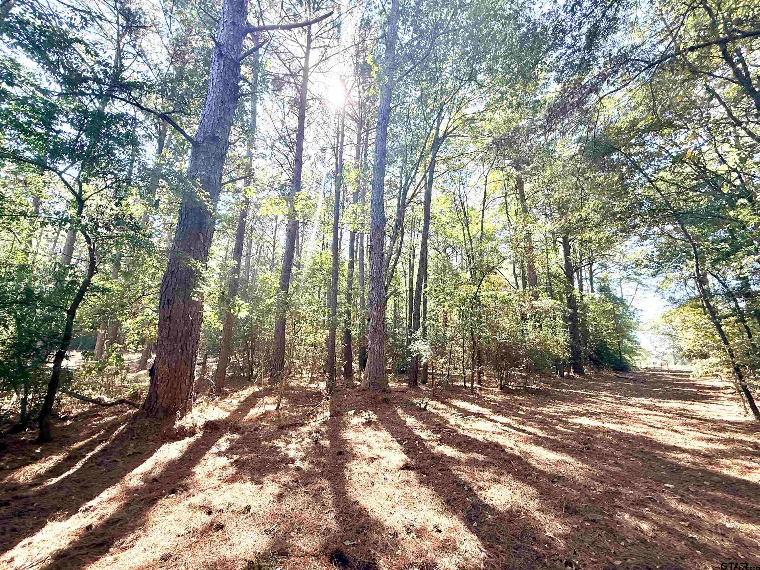 21759 County Road 2160