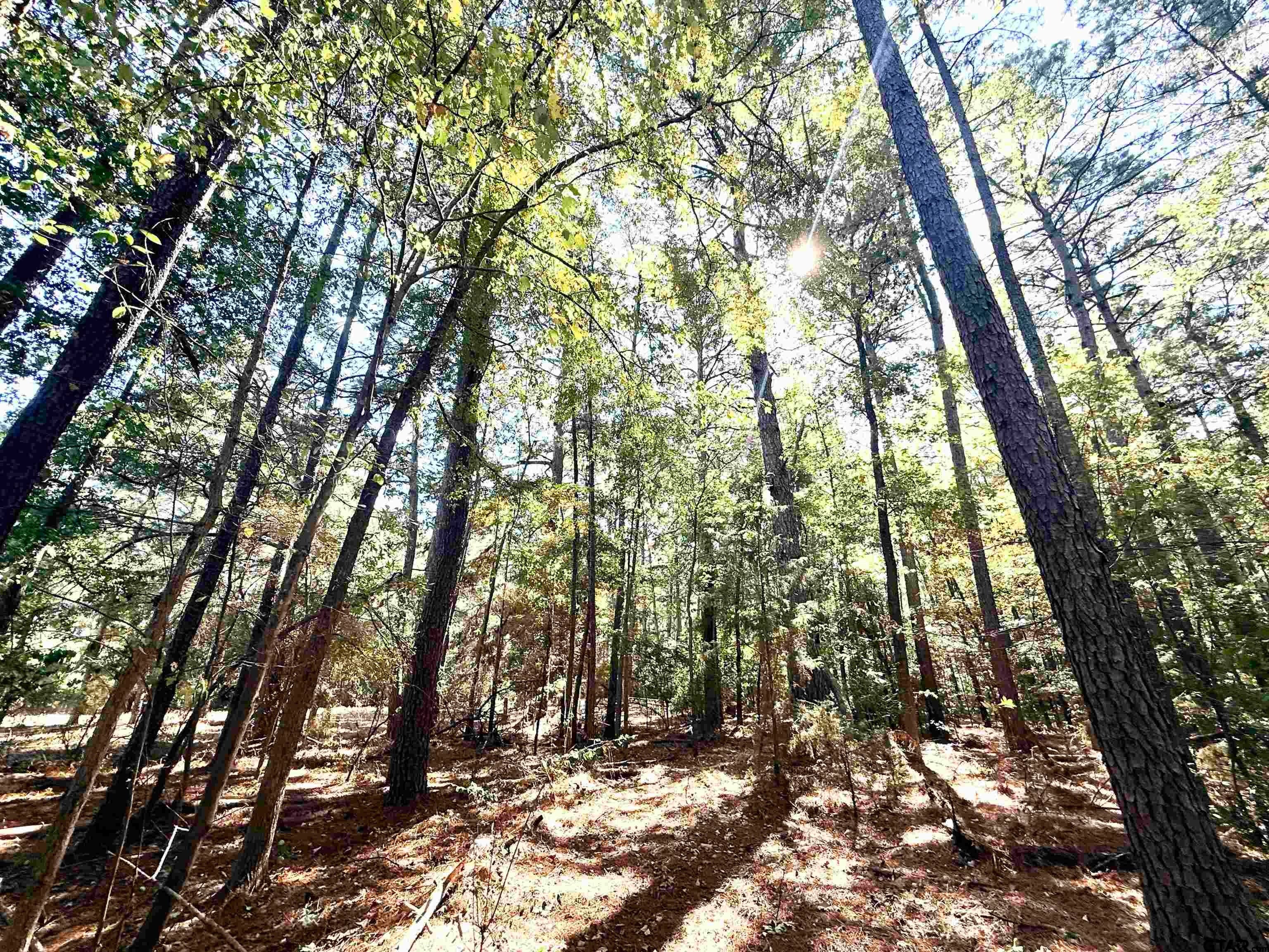 21759 County Road 2160