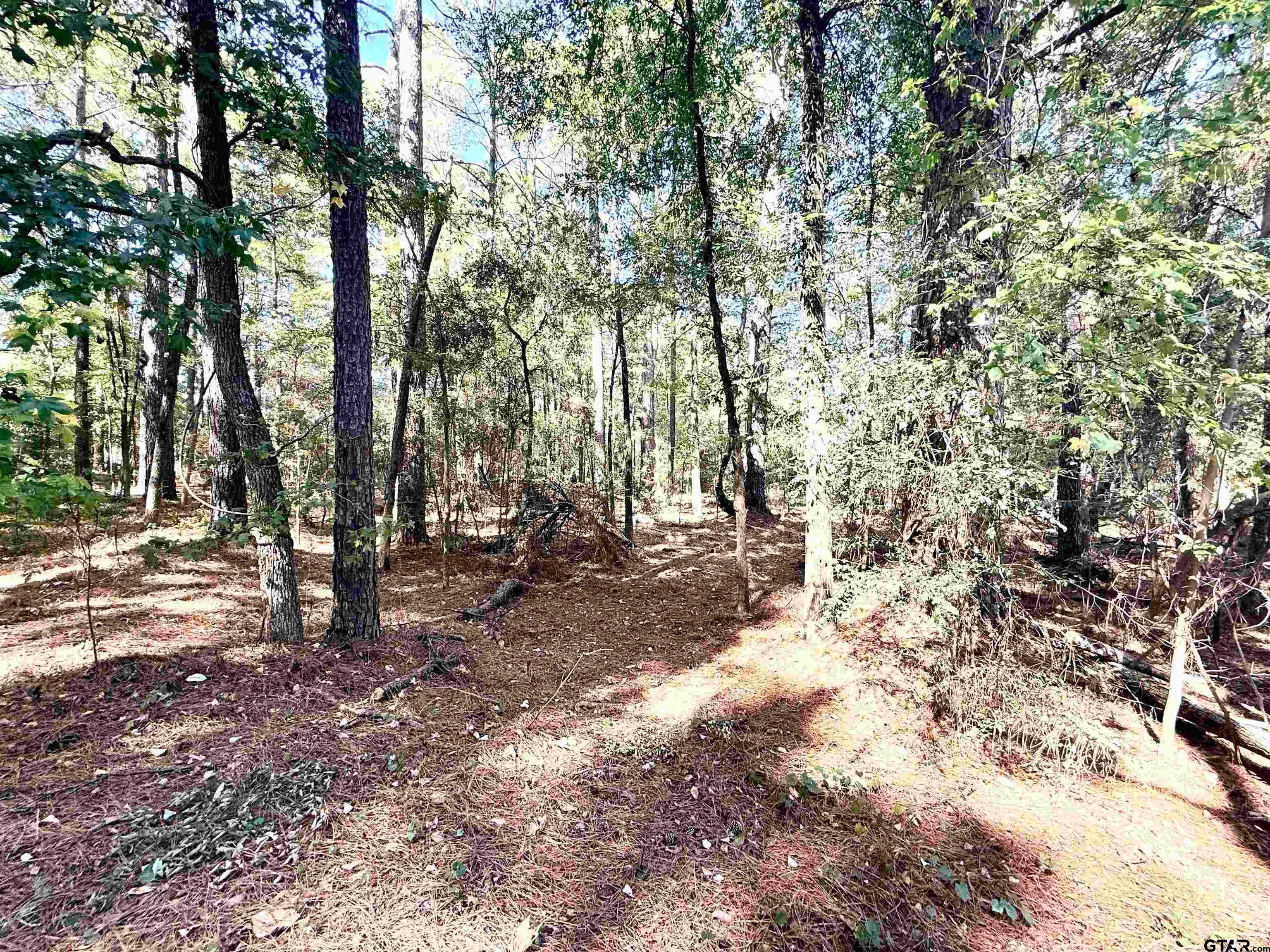 21759 County Road 2160