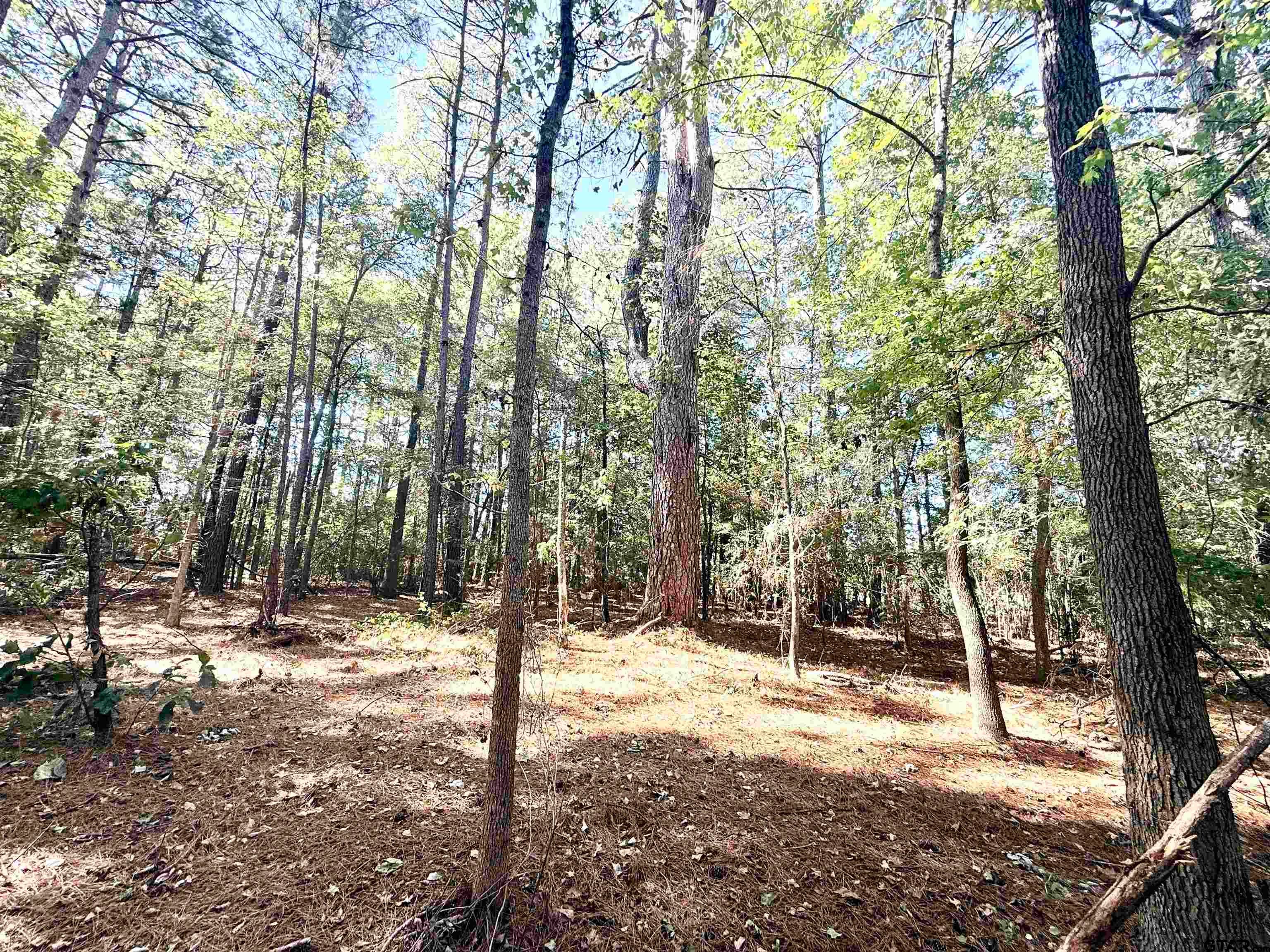 21759 County Road 2160