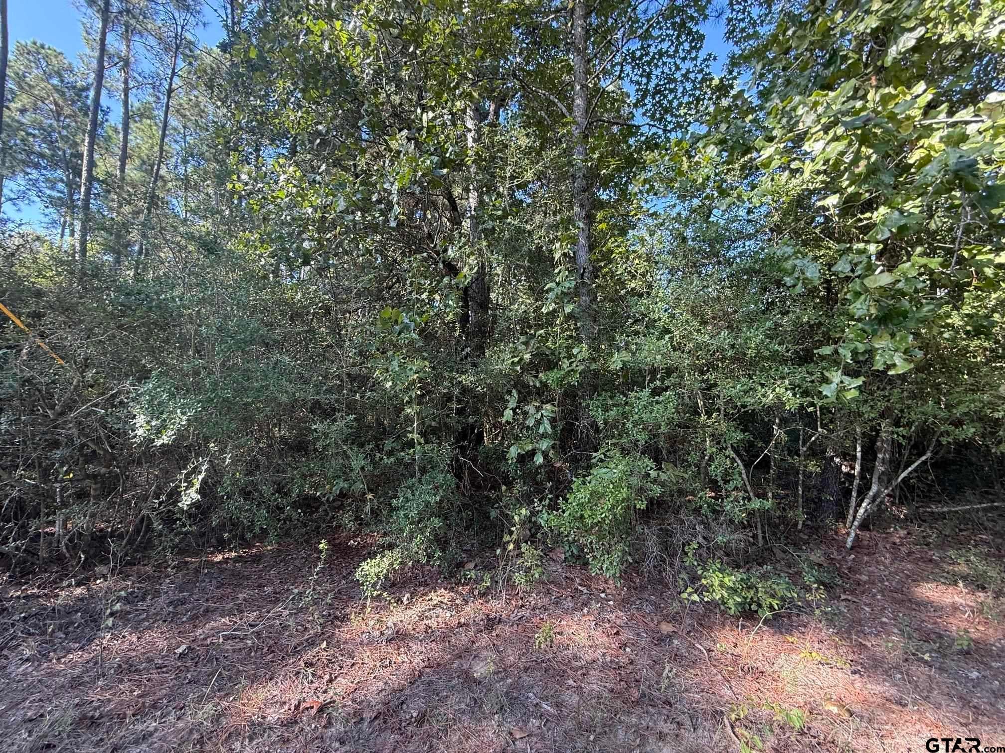 TBD CR 3385