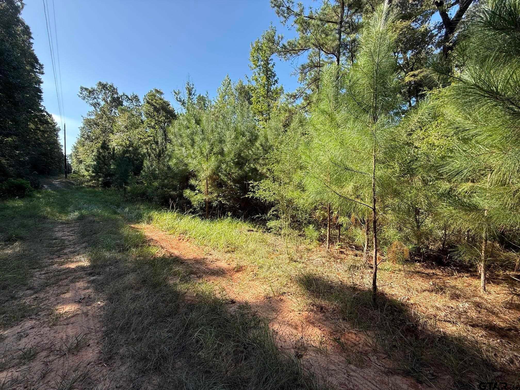 TBD CR 3385