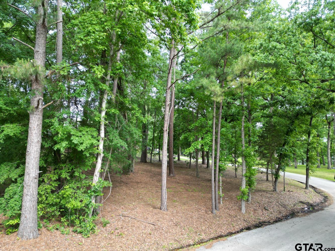 23628 Cove Park Dr.