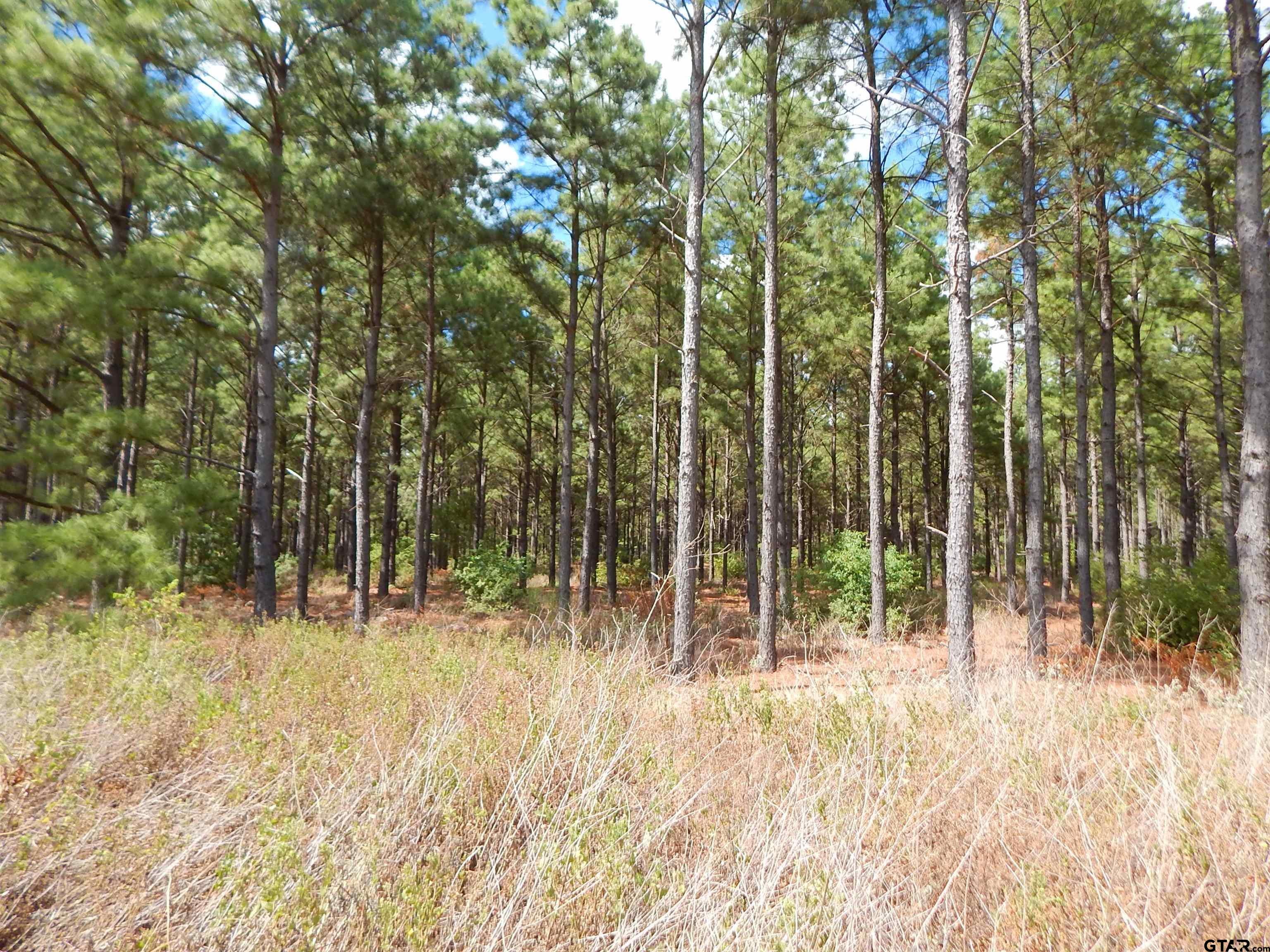 TBD 10 ACRES SPRUCE RD
