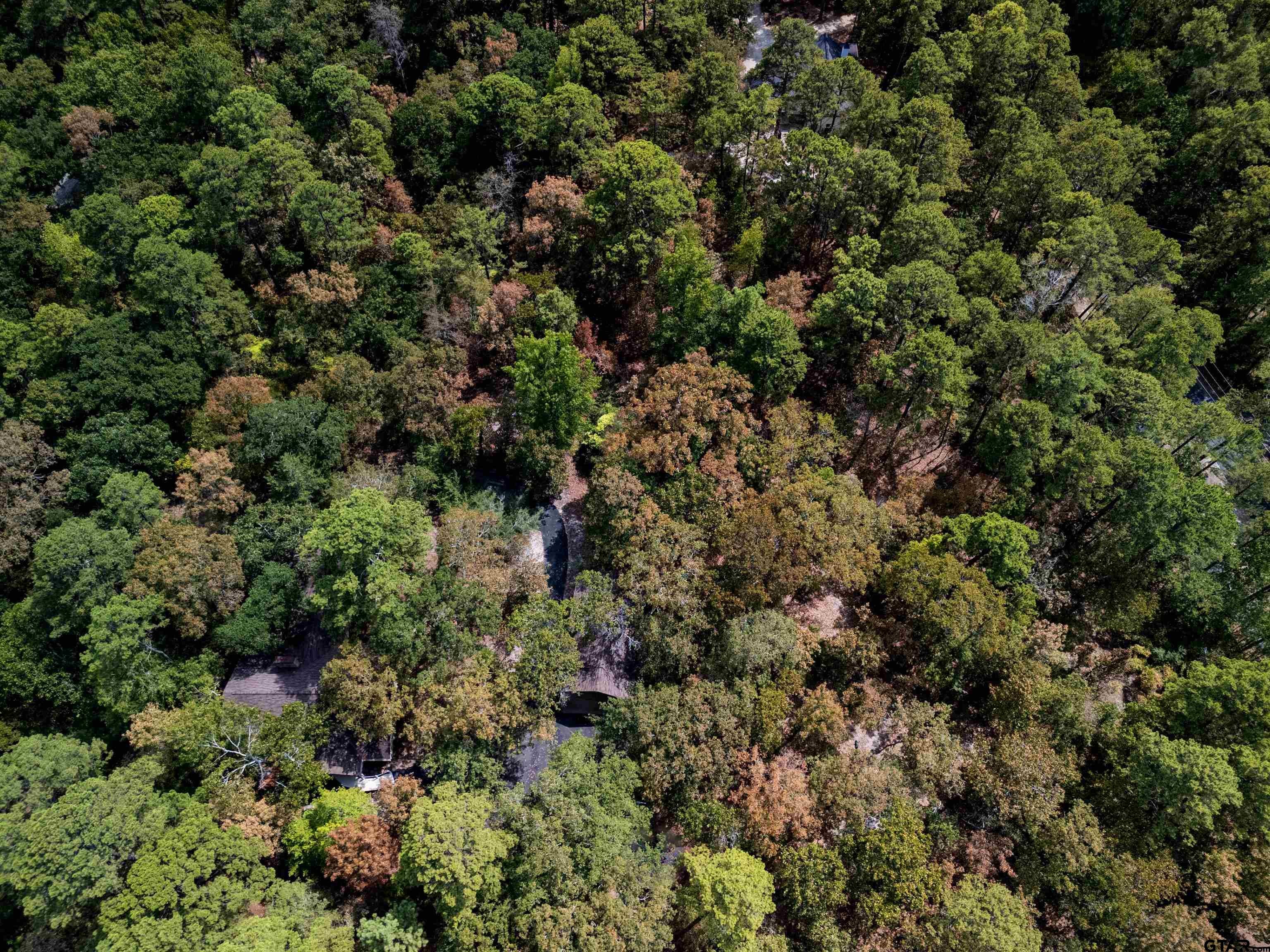 1392 W Holly Trail