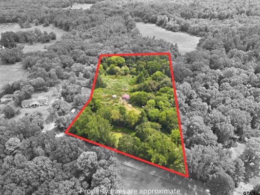 1624 COUNTY ROAD 4490, WINNSBORO, TX 75494 - Image d7c91baaaa50bb42dc345b63ee306bdf/2860242879