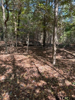 2669 POPPY RD, GILMER, TX 75644 - Image d84bc0edacca4929c4d9dd07f8c7bd7a/3908253247