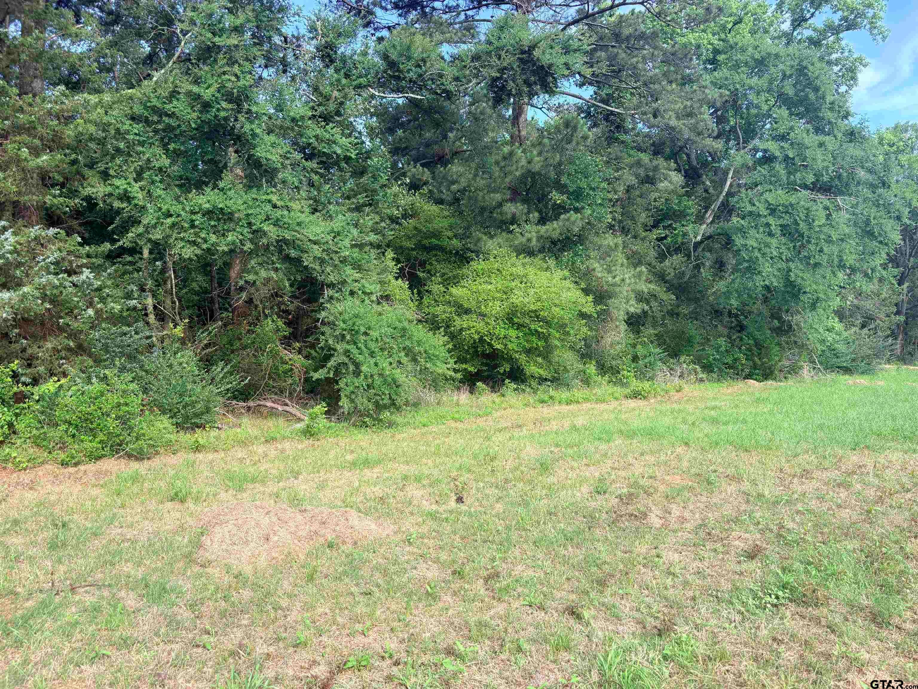 tbd 11.17 acres FM 856