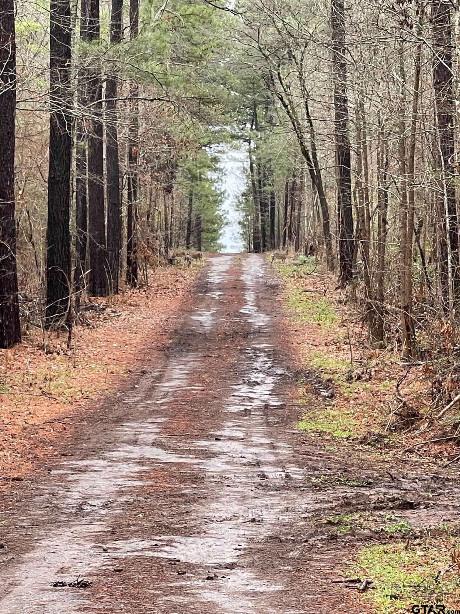 455 Acres off Watson Rd
