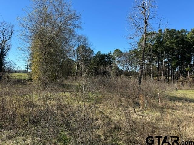 Lot 1 Berrycreek Circle