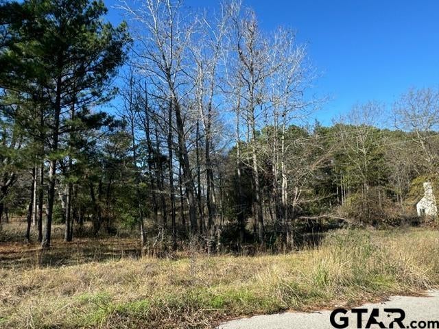 Lot 1 Berrycreek Circle