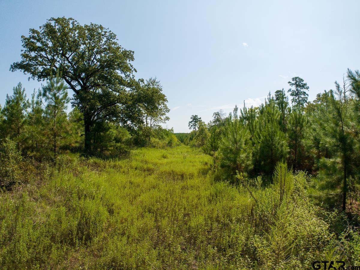 TBD Lightfoot Road