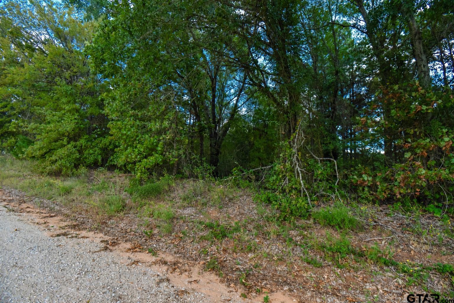 Lot 3 CR 3424