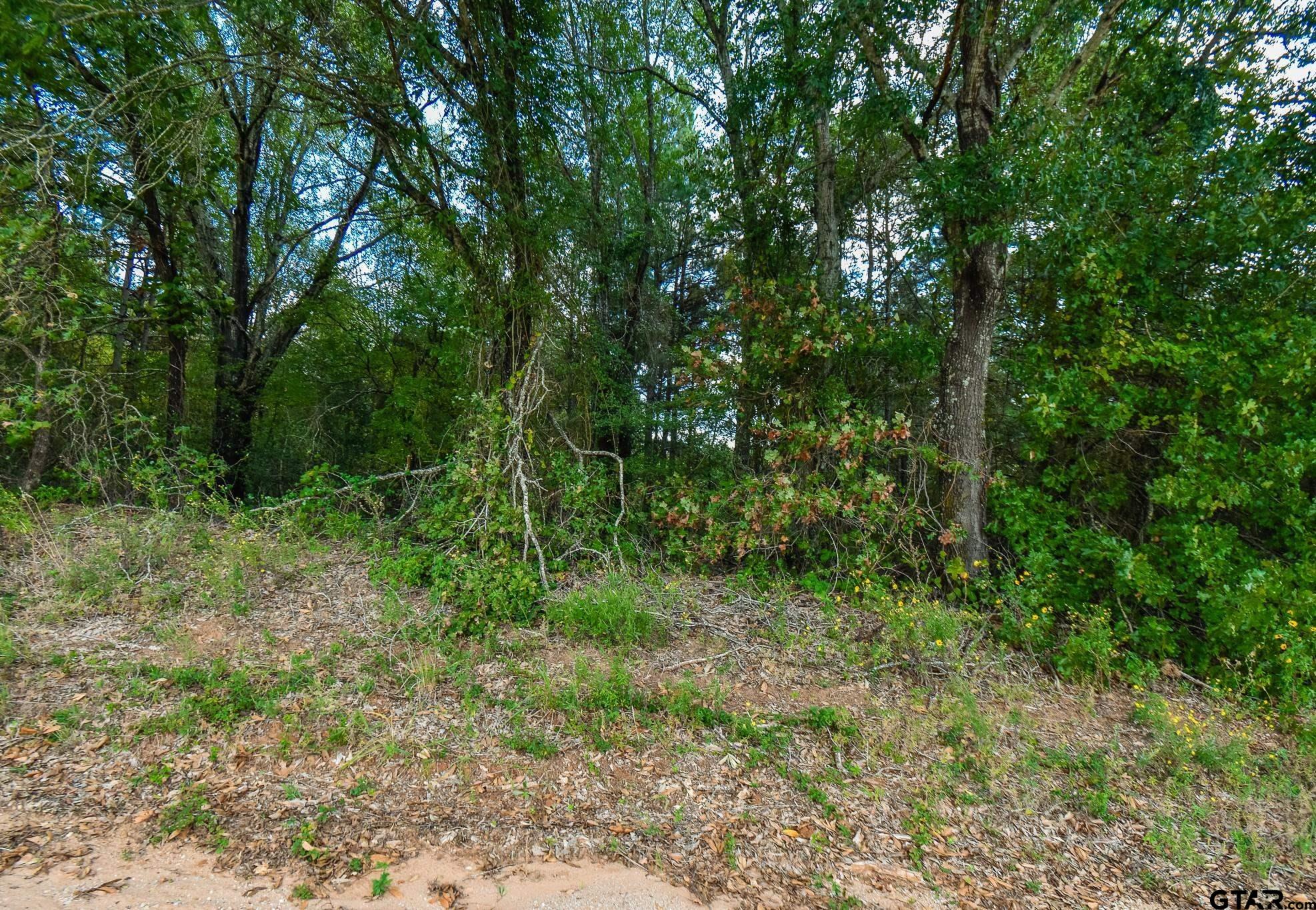 Lot 3 CR 3424