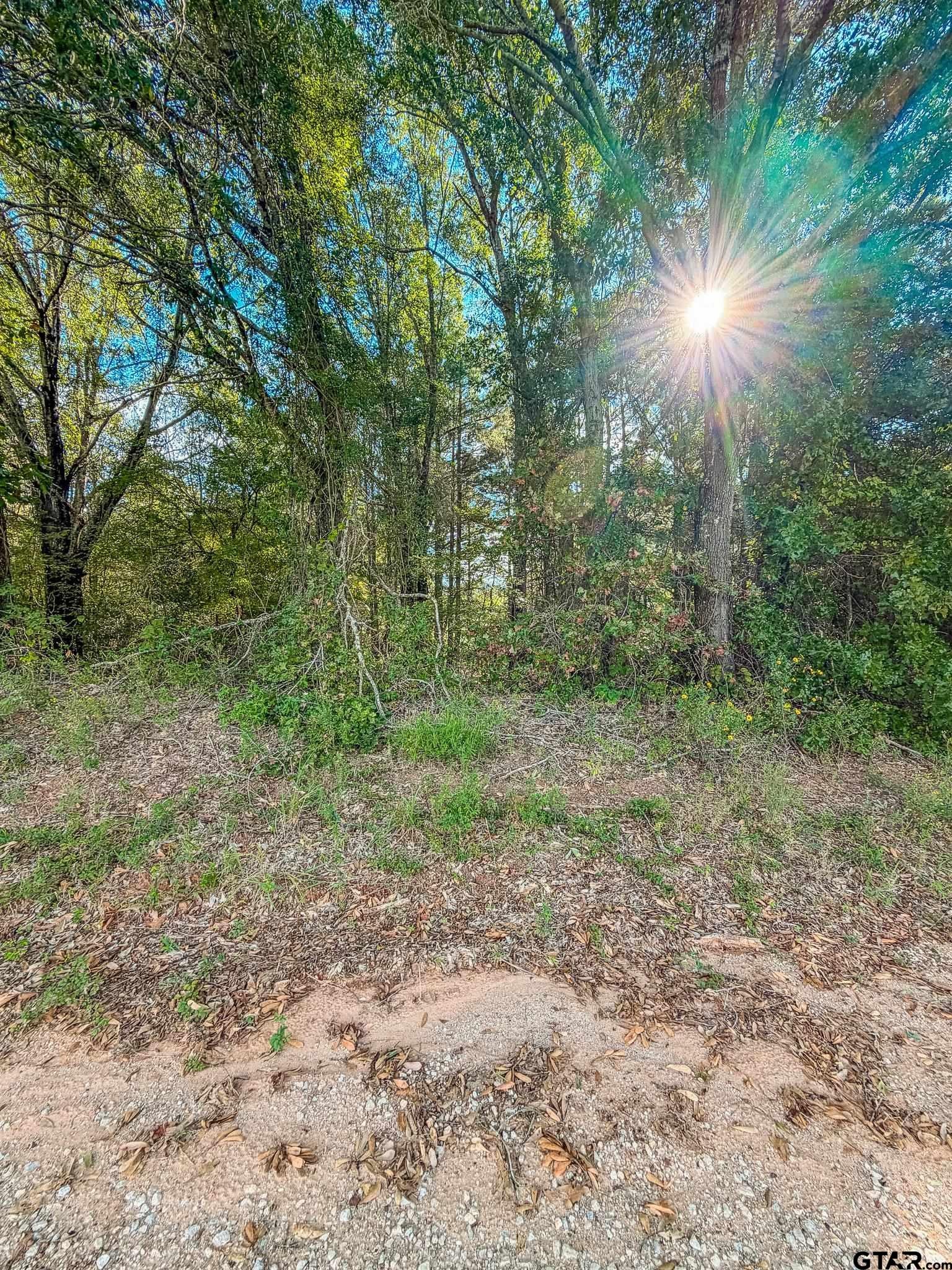 Lot 3 CR 3424