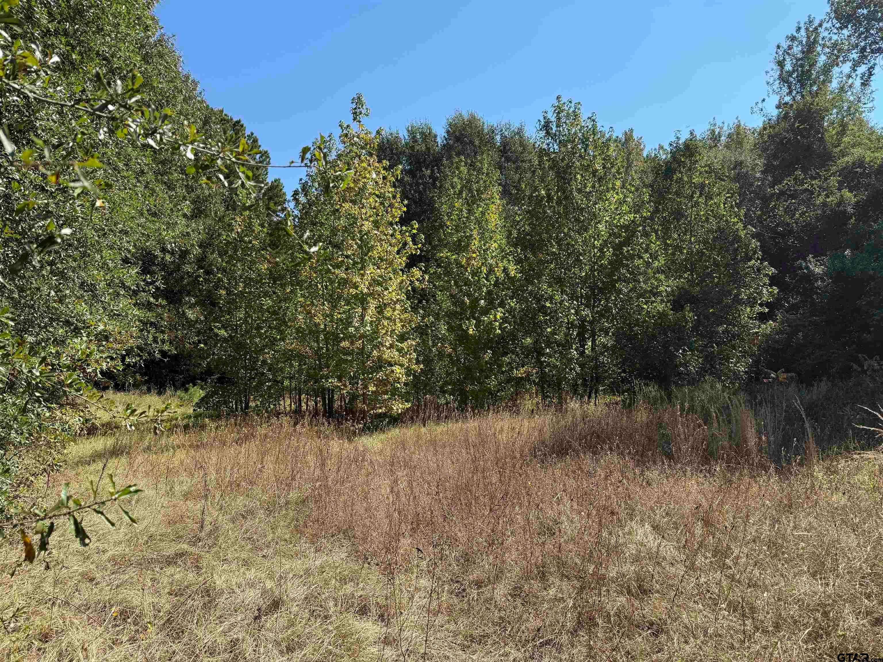 TBD Hwy 80